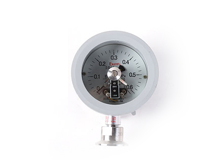 YTXF-100-B 衛(wèi)生型防爆電接點壓力表